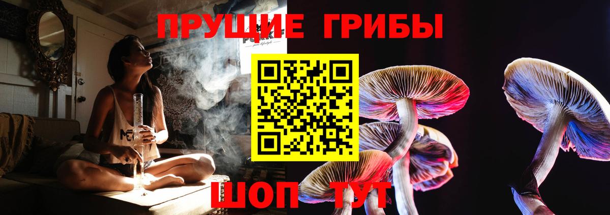 Псилоцибиновые грибы Cubensis  Галлюциногенные грибы GOLDEN TEACHER  Вход с VPN  Куйбышев 
